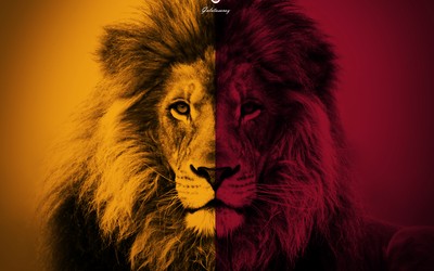 米兰电竞焦点-克瓦拉茨赫利亚训练中脚后跟妙传火了