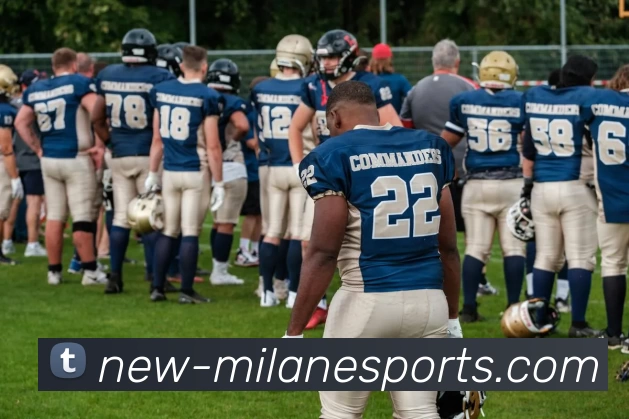 米兰电竞平台平台生态图